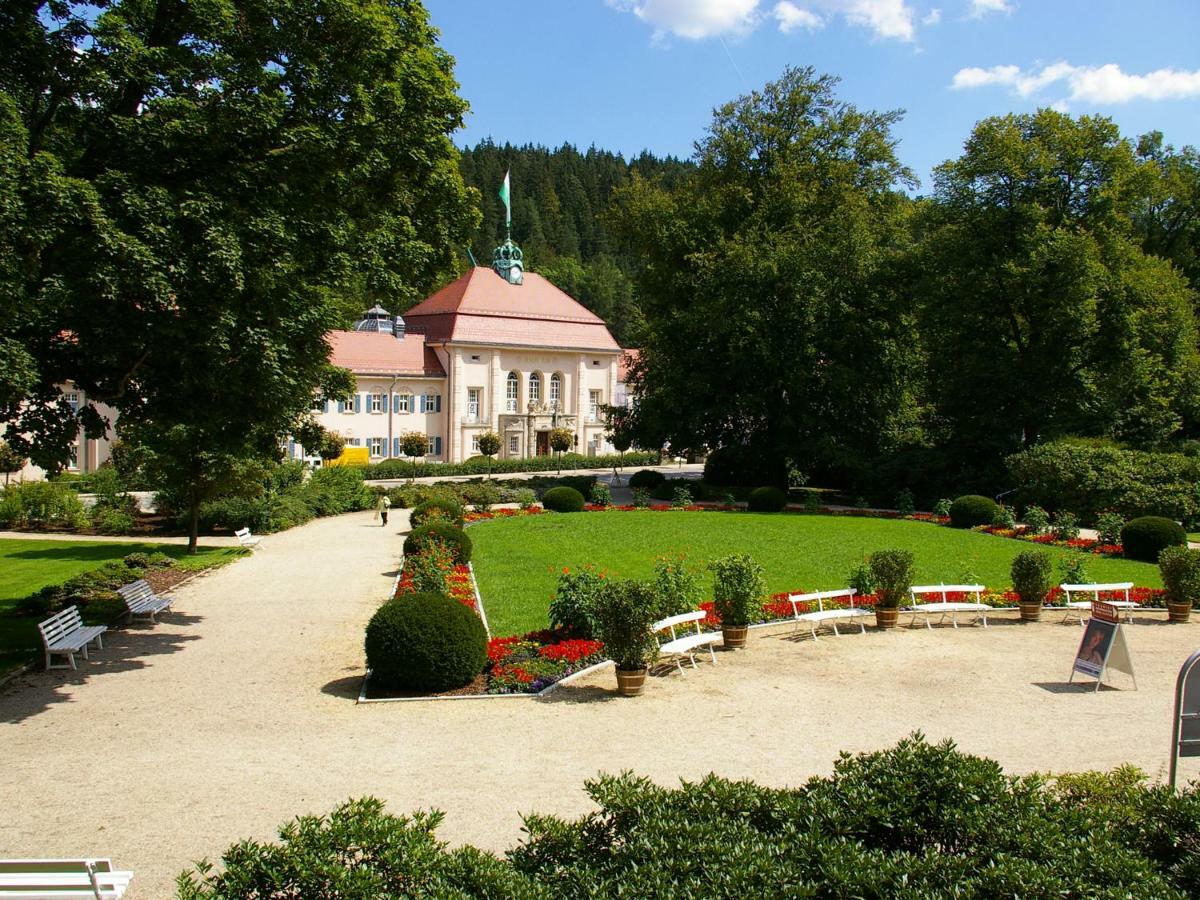 Pension Weisse Rose, Parkplatz, Fruehstueck, Wlan, Zentral Bad Elster Bagian luar foto